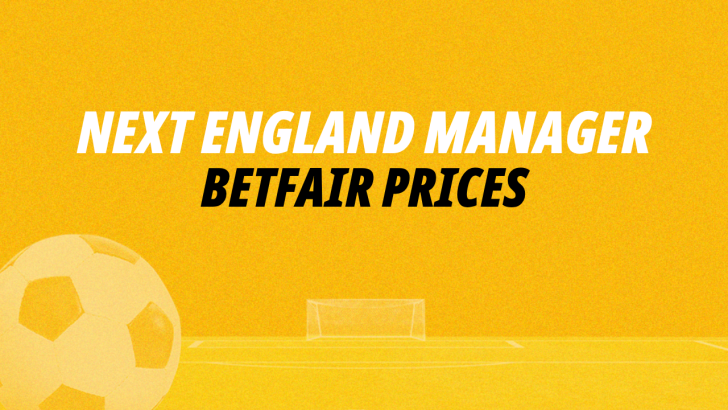 Image for Next England Manager Betting on Betfair